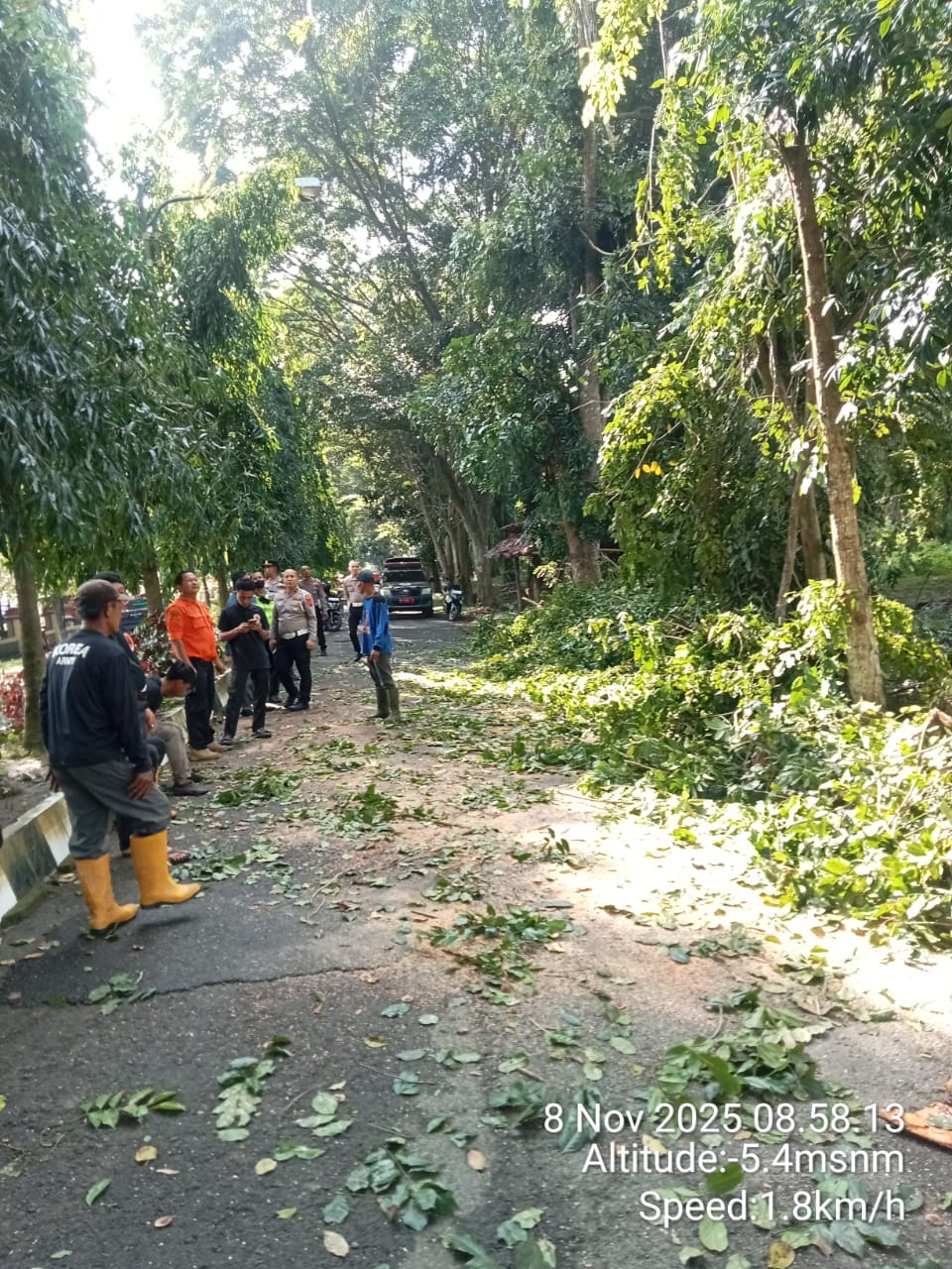 Satlantas Polres Langkat Bergerak Cepat Bersama DLH dan BPBD, Bersihkan Pohon Tumbang di Jalan Tengku Umar