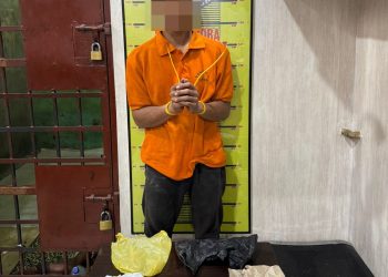 Sat Narkoba Polres Langkat Ungkap Kasus Narkotika, Satu Pelaku Diamankan