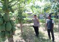 Sambangi Warga, Bhabinkamtibmas Secanggang Dorong Pekarangan Rumah Jadi Lahan Pangan
