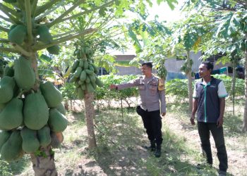 Sambangi Warga, Bhabinkamtibmas Secanggang Dorong Pekarangan Rumah Jadi Lahan Pangan