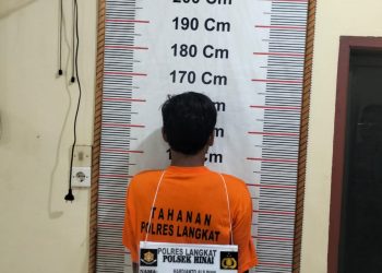 Tertangkap Tangan Curi 16 Janjang Sawit PT Buana Estate, Pria di Hinai Diangkut Polsek Hinai