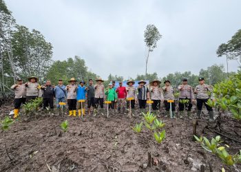 Kapolres Langkat Bersama Masyarakat Tanam Mangrove, Jaga Ekosistem Pesisir dan Dukung Ekonomi Nelayan