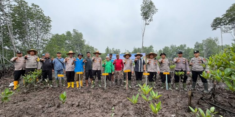 Kapolres Langkat Bersama Masyarakat Tanam Mangrove, Jaga Ekosistem Pesisir dan Dukung Ekonomi Nelayan